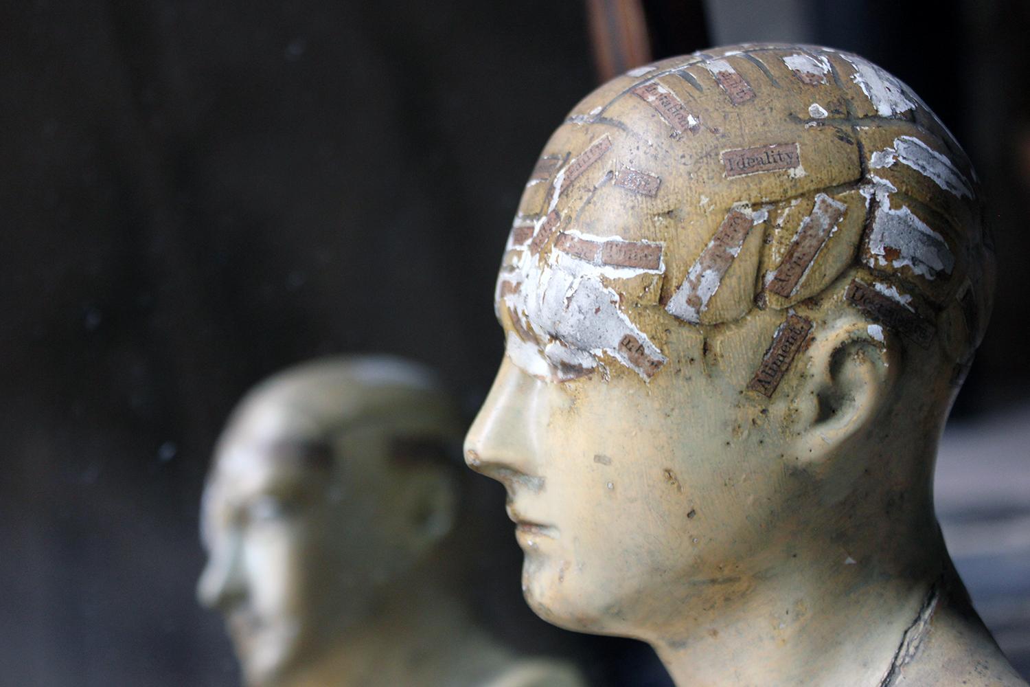 The wonderfully evocative phrenologist bust in plaster, mapping the labeled regions of the human brain, such as 'Intellectual Faculties' and 'Destructive' via a number of printed paper labels applied to the head listing the mental faculties, and