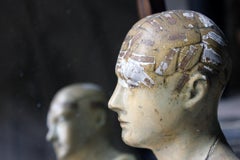 Rare Plaster Phrenology Bust Prepared by A.L. Vago, London, 1869