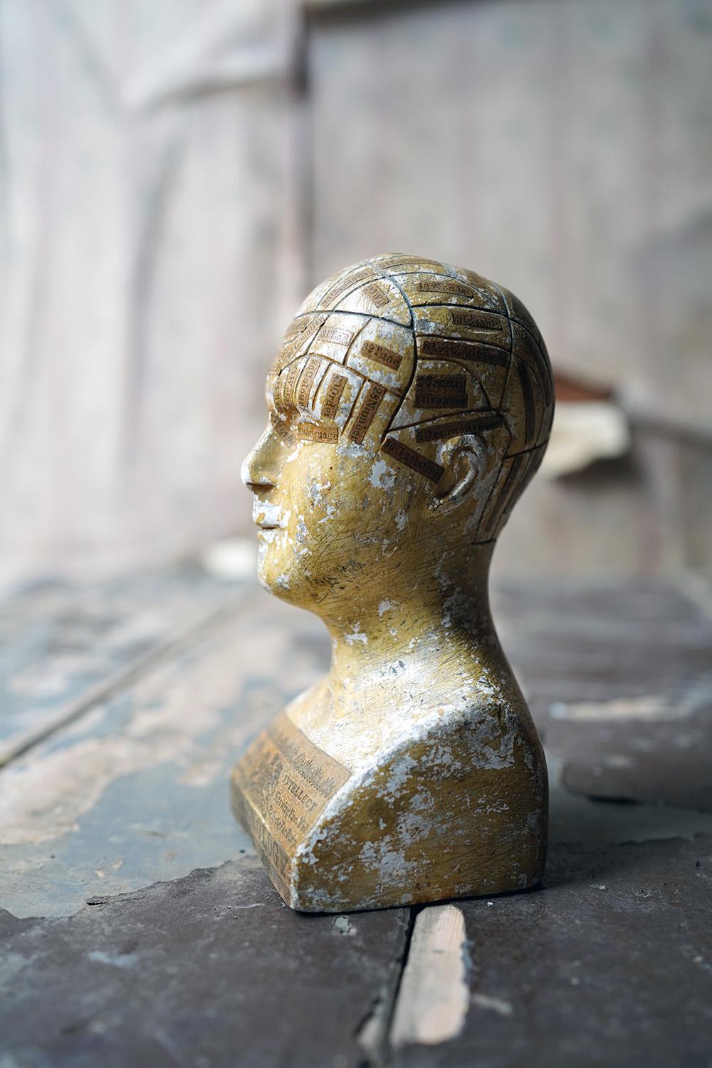 Rare Plaster Phrenology Bust Prepared by A.L. Vago, London, circa 1870-1885 In Good Condition In Bedford, Bedfordshire