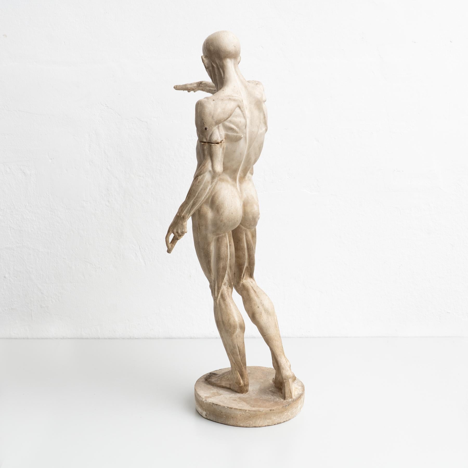 Rare Plaster Traditional Anatomic Sculpture, circa 1930 9