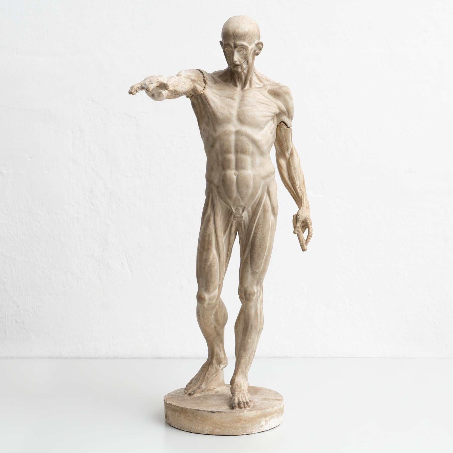 Exceptional early Plaster human anatomy sculpture of a man.

Made Spain, circa 1930.

In original condition, with minor wear consistent with age and use, preserving a beautiful patina. Some parts are missing as shown on the