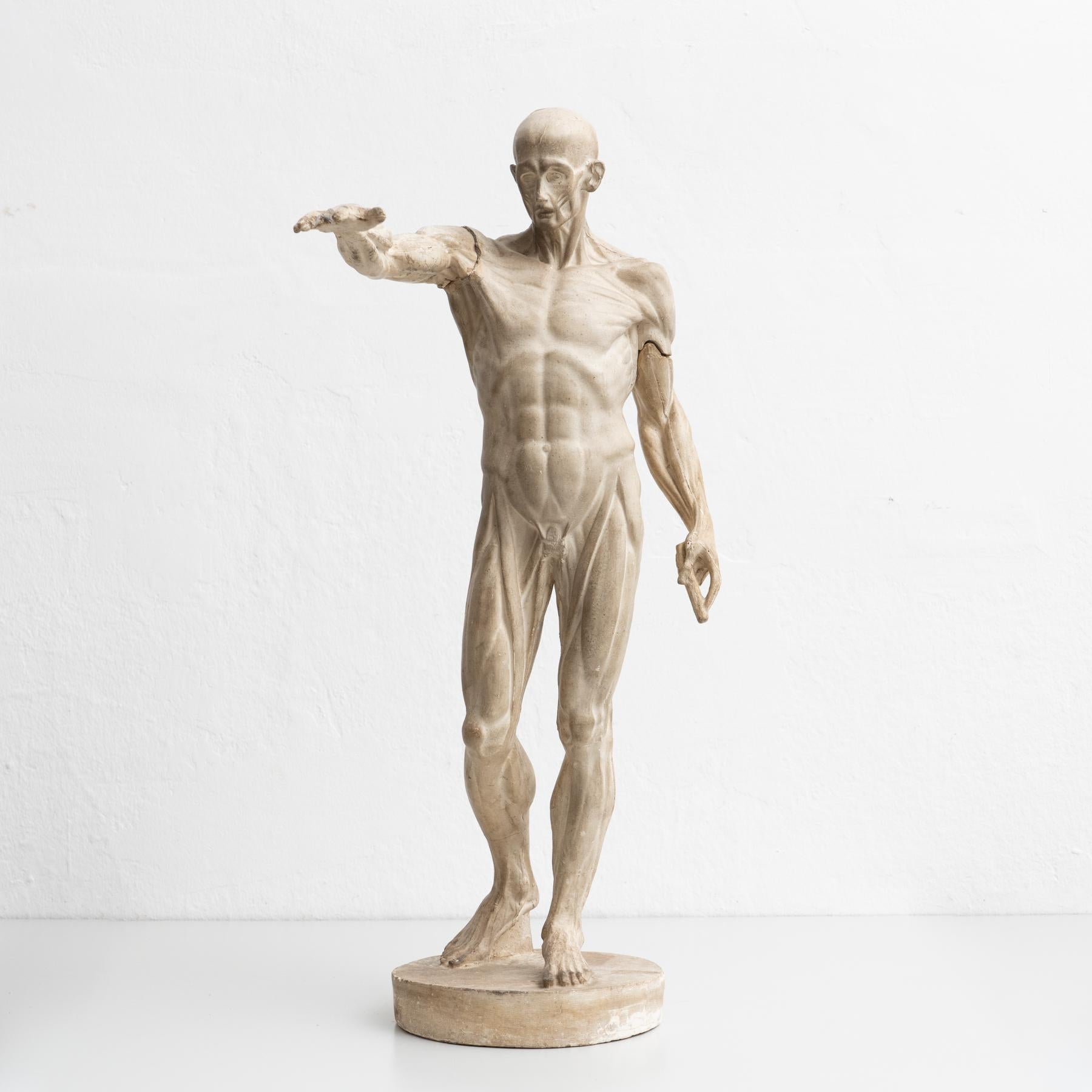 Modern Rare Plaster Traditional Anatomic Sculpture, circa 1930