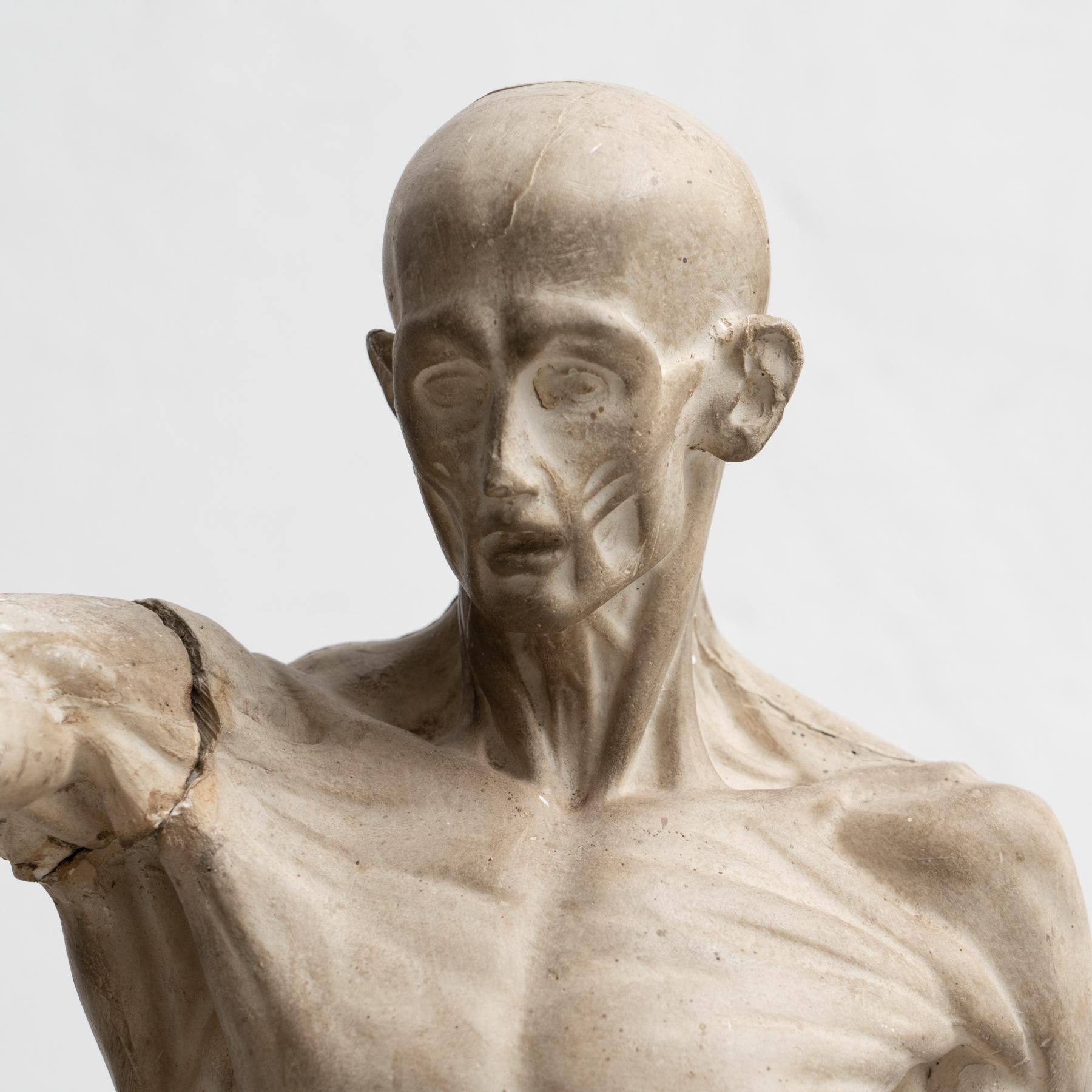 Spanish Rare Plaster Traditional Anatomic Sculpture, circa 1930