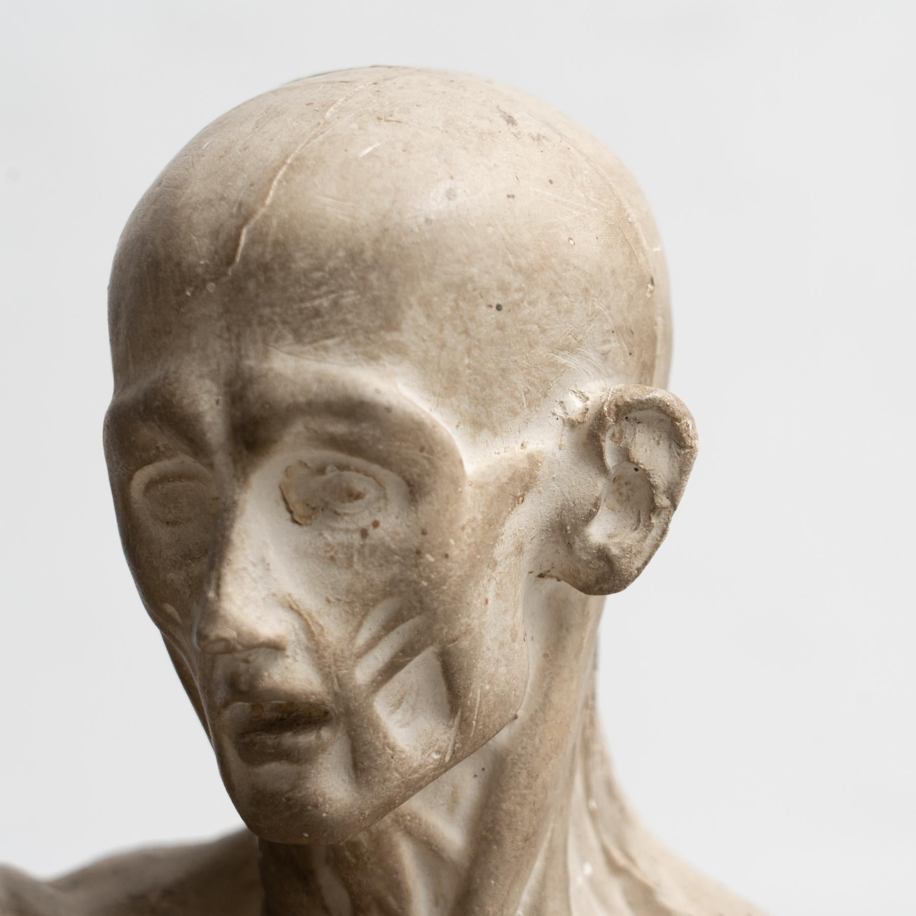 Rare Plaster Traditional Anatomic Sculpture, circa 1930 In Good Condition In Barcelona, Barcelona