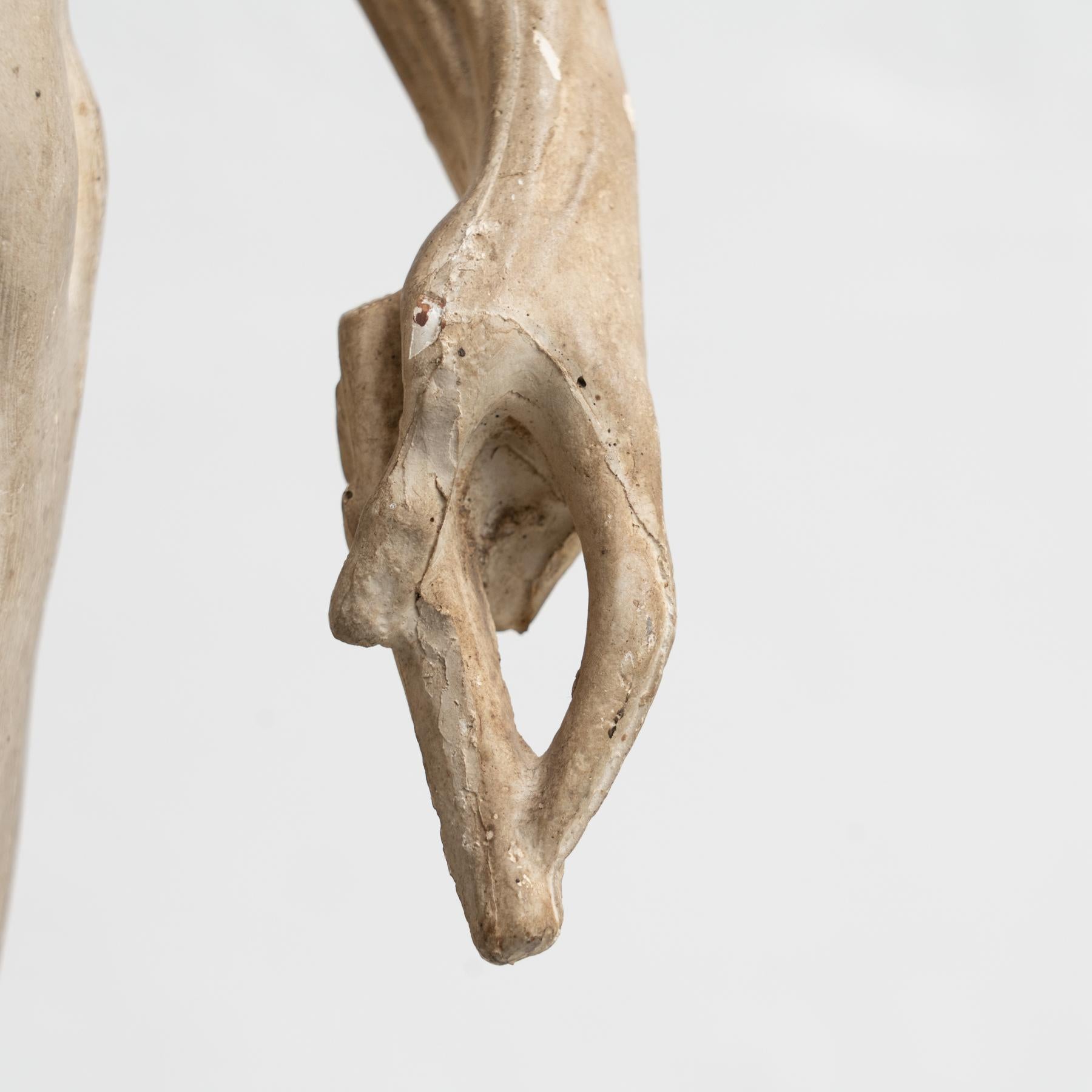 Mid-20th Century Rare Plaster Traditional Anatomic Sculpture, circa 1930