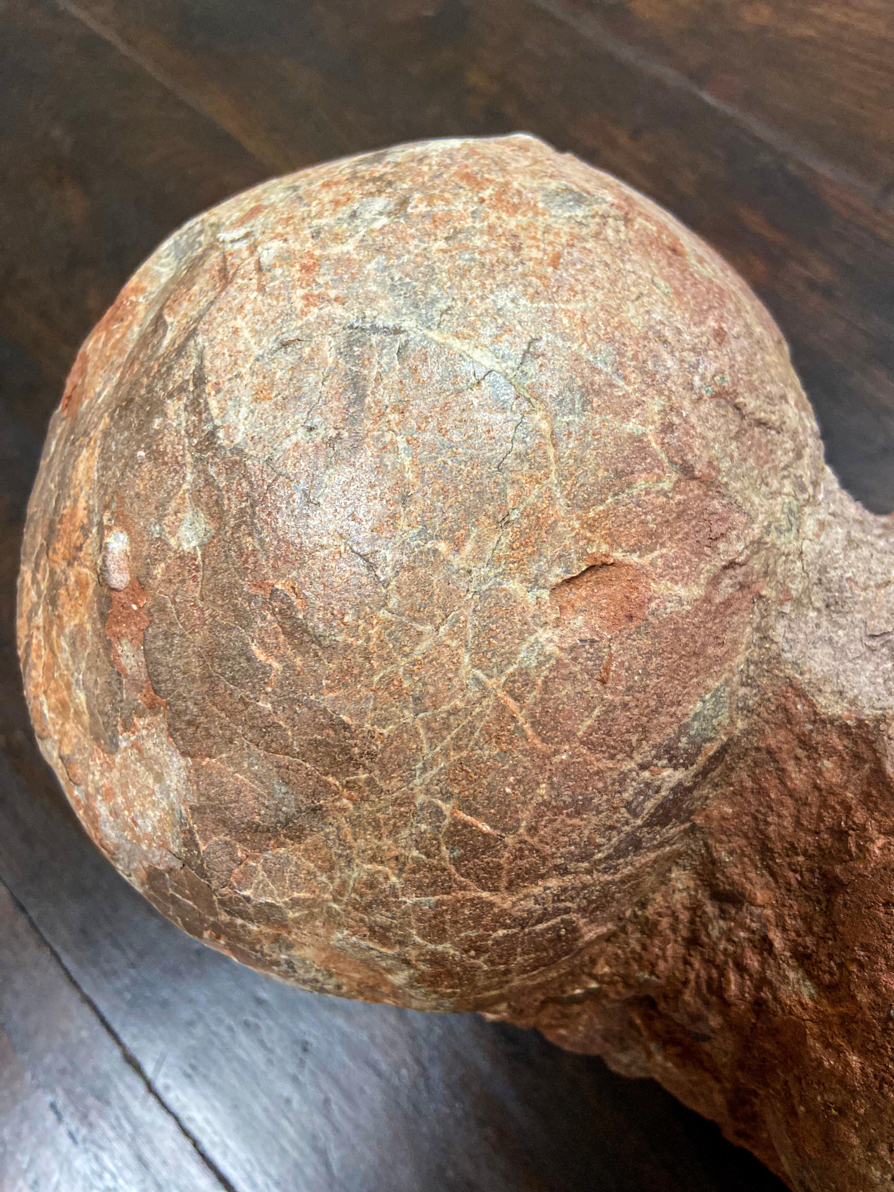 Rare Prehistoric Petrified Dinosaur Egg Nest with Cracked Surface 1
