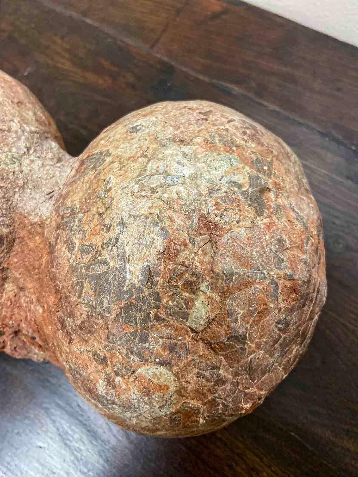 Rare Prehistoric Petrified Dinosaur Egg Nest with Cracked Surface 2