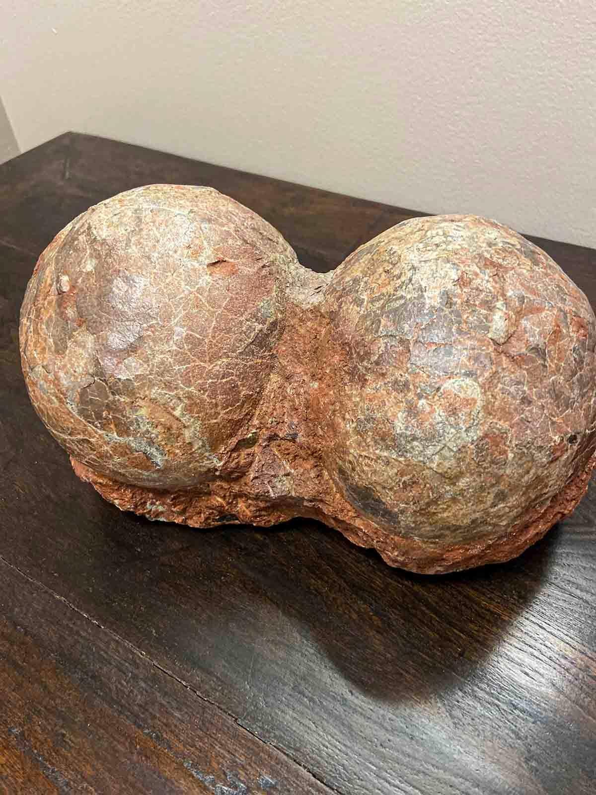 Rare Prehistoric Petrified Dinosaur Egg Nest with Cracked Surface 4