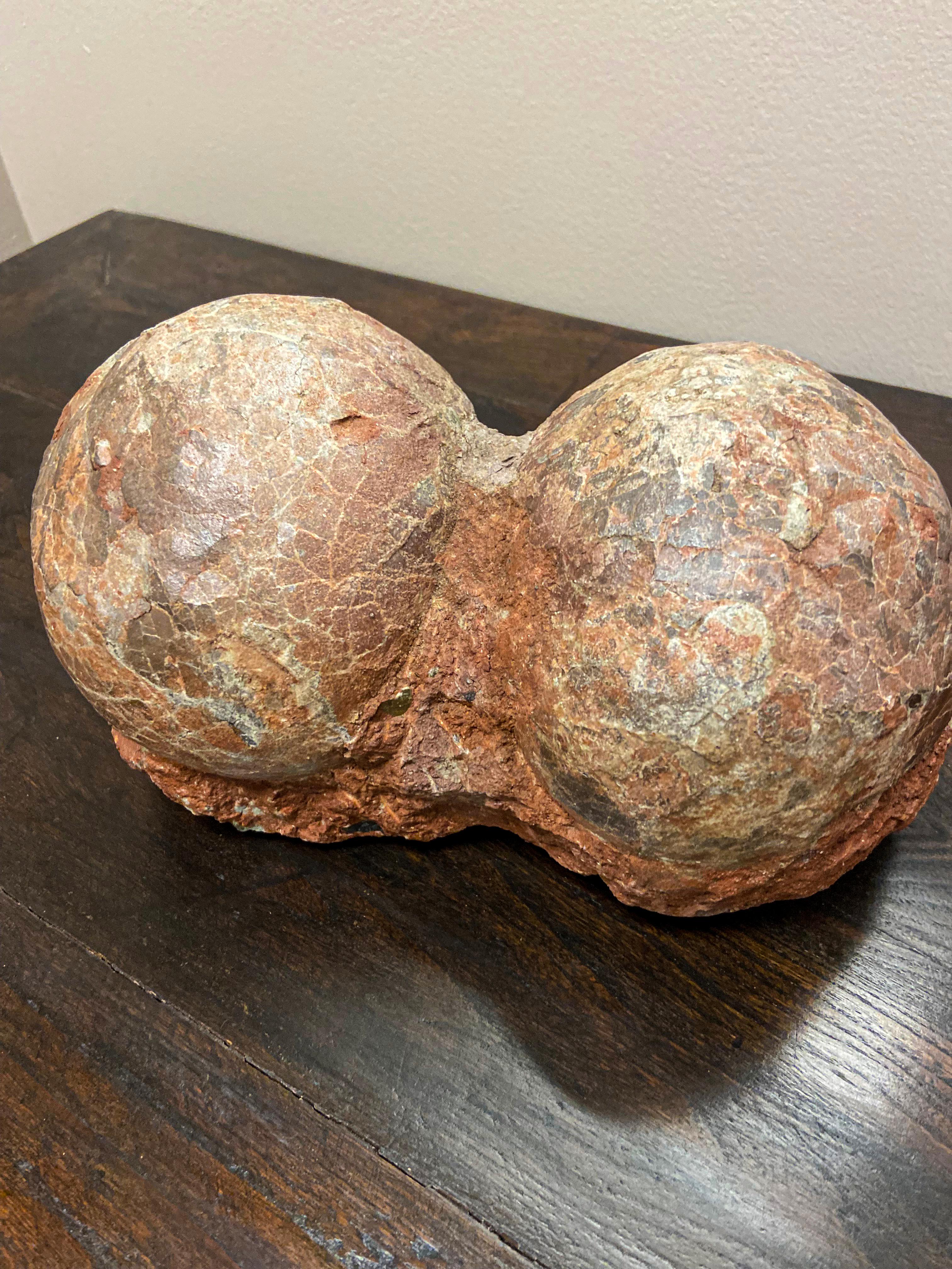 Rare Prehistoric Petrified Dinosaur Egg Nest with Cracked Surface 5