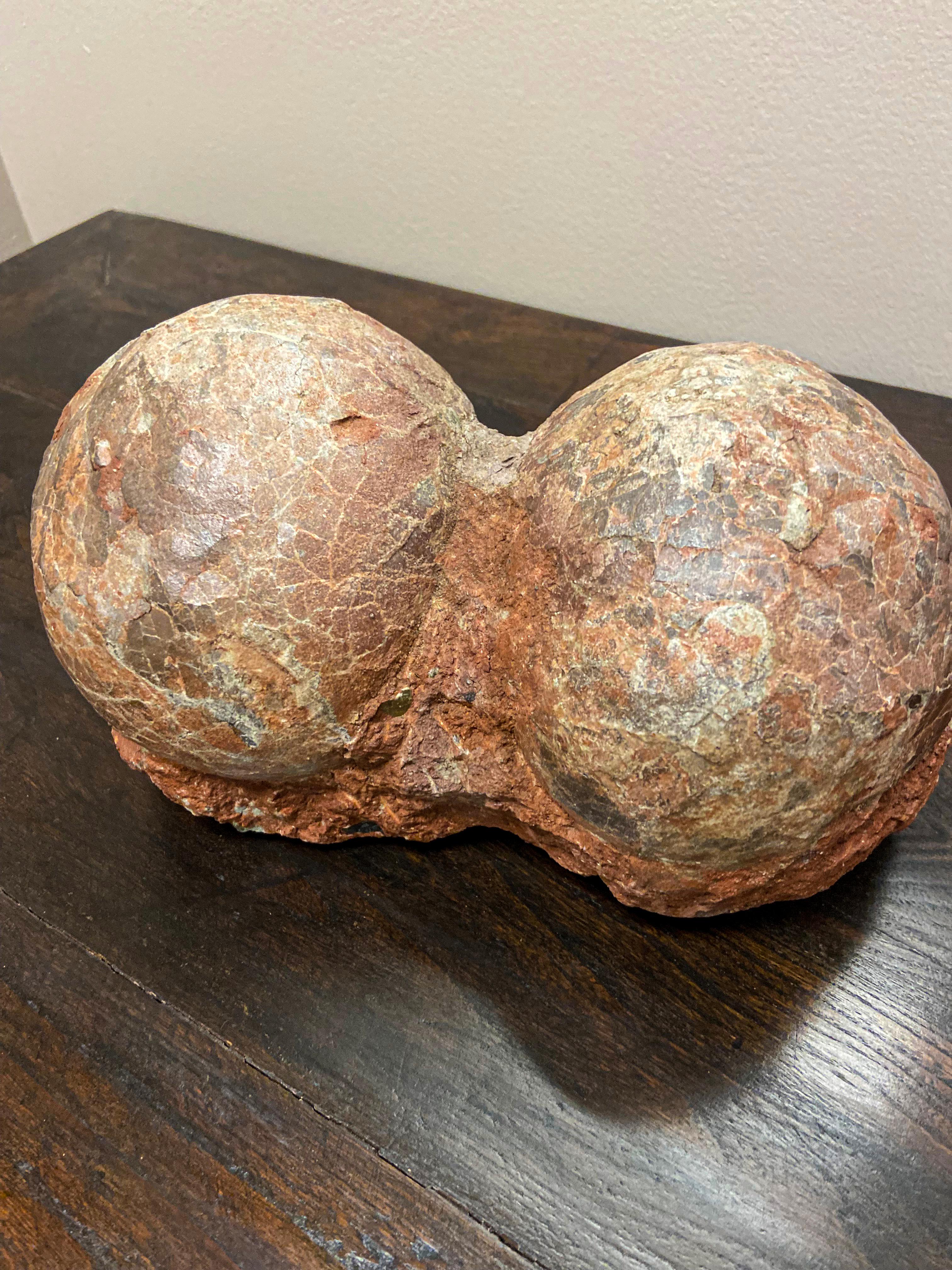 Raro nido de huevo de dinosaurio prehistórico petrificado con la superficie agrietada 5