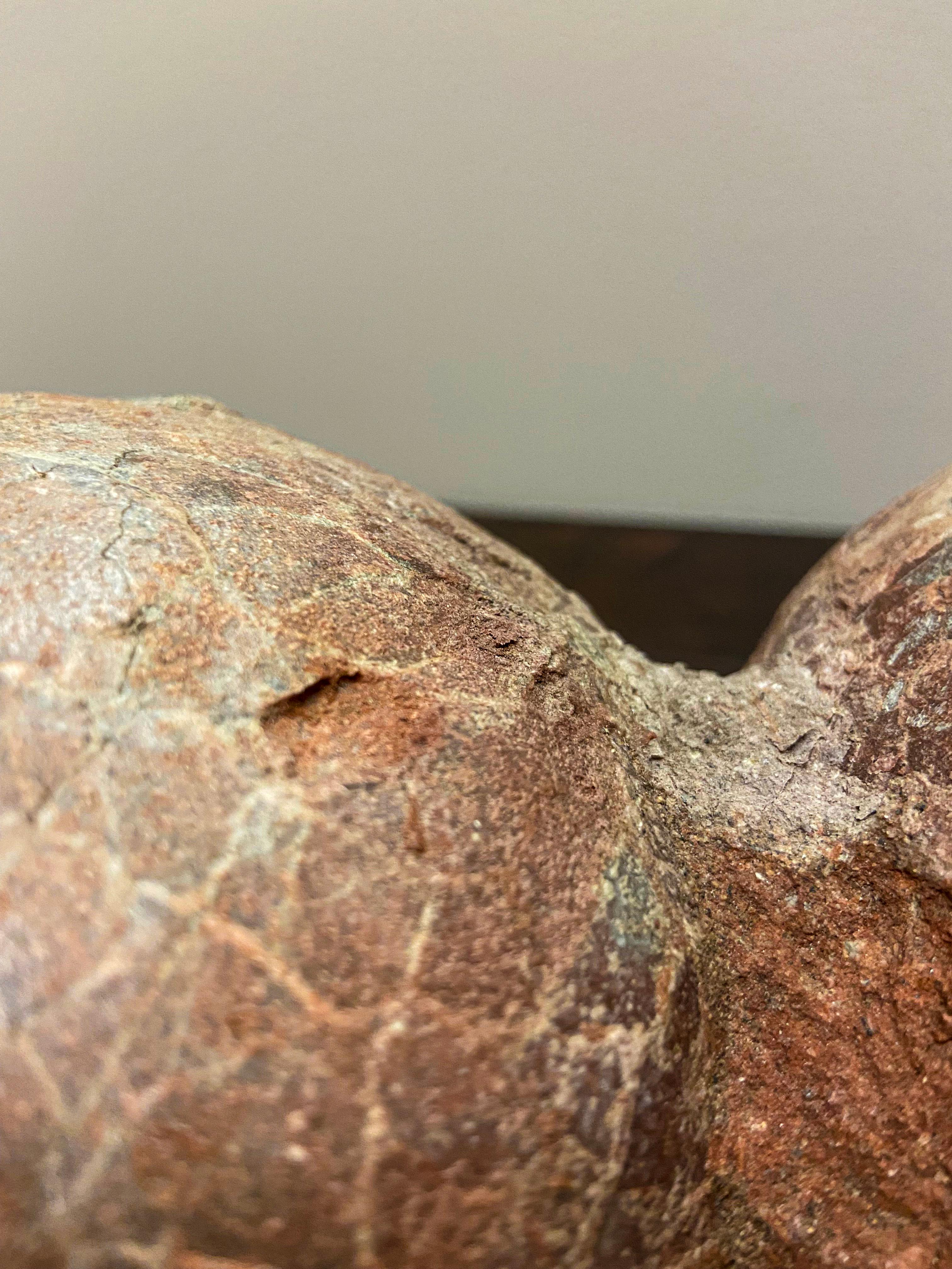 Raro nido de huevo de dinosaurio prehistórico petrificado con la superficie agrietada 8