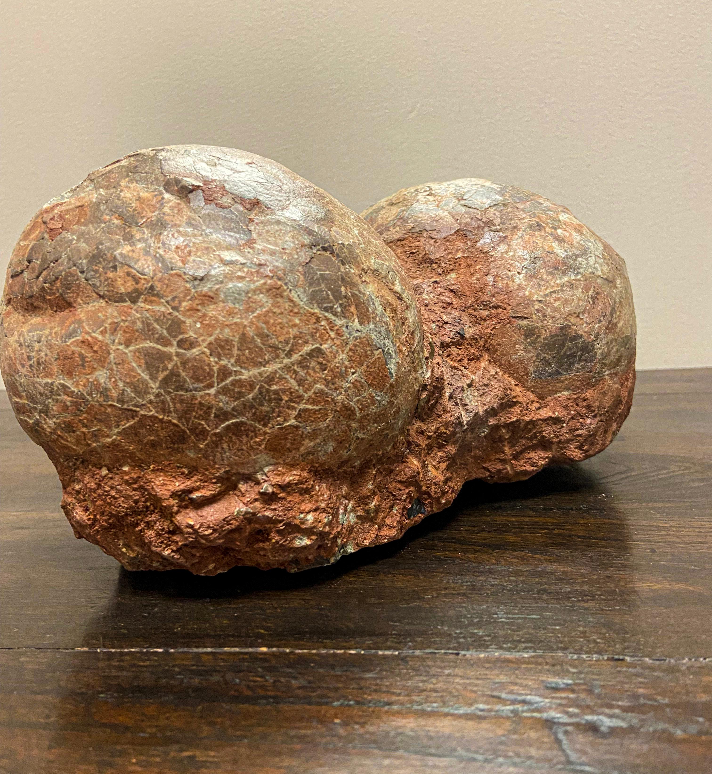 Unknown Rare Prehistoric Petrified Dinosaur Egg Nest with Cracked Surface