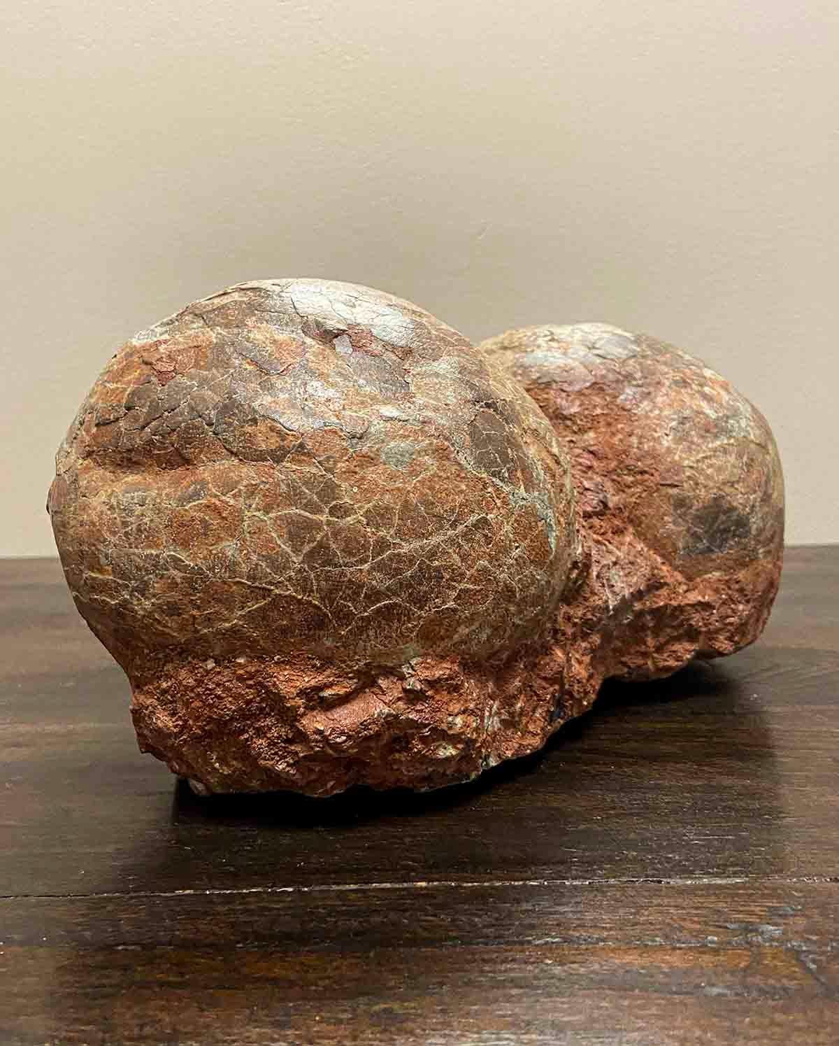 Rare Prehistoric Petrified Dinosaur Egg Nest with Cracked Surface In Good Condition In Yonkers, NY