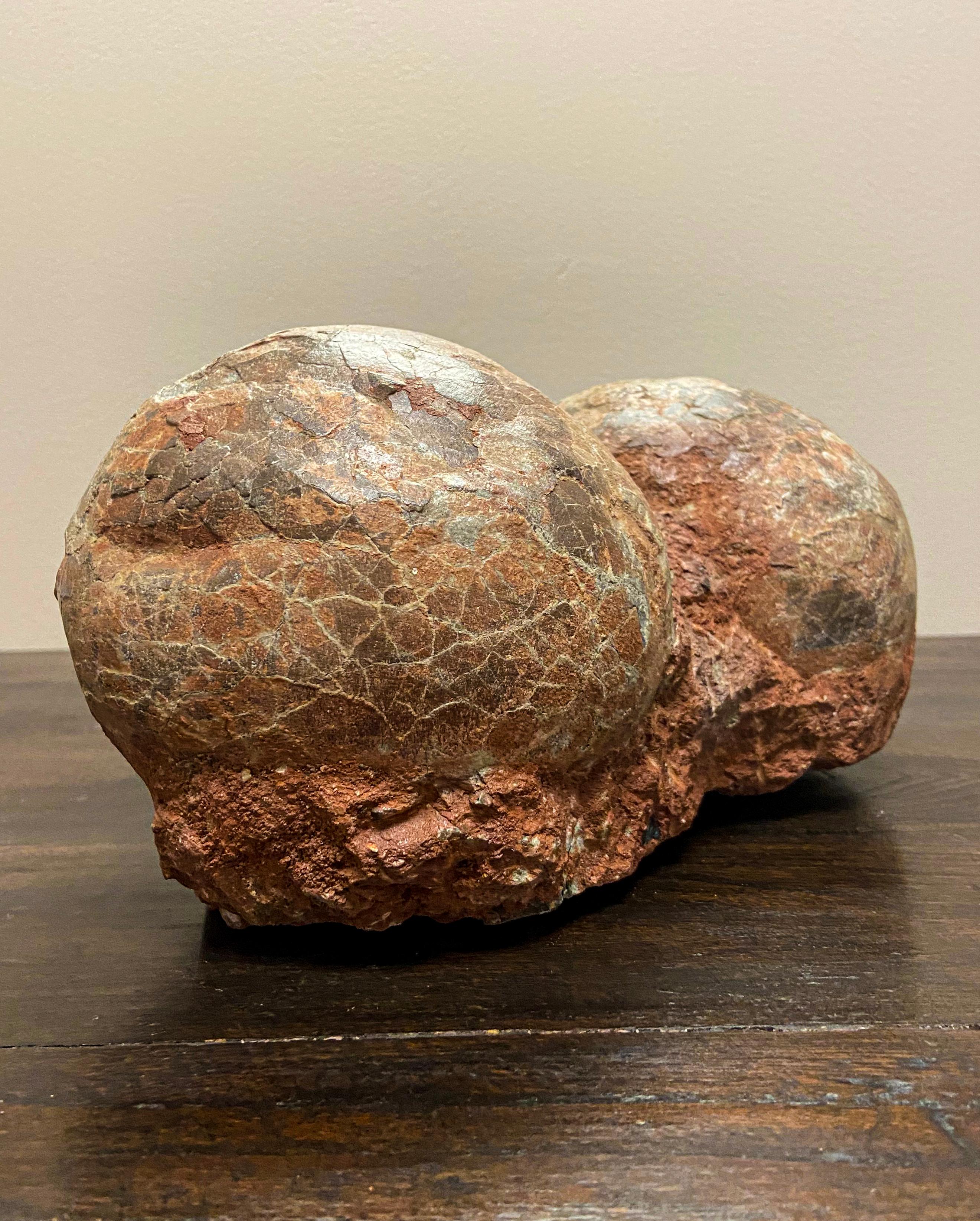 18th Century and Earlier Rare Prehistoric Petrified Dinosaur Egg Nest with Cracked Surface