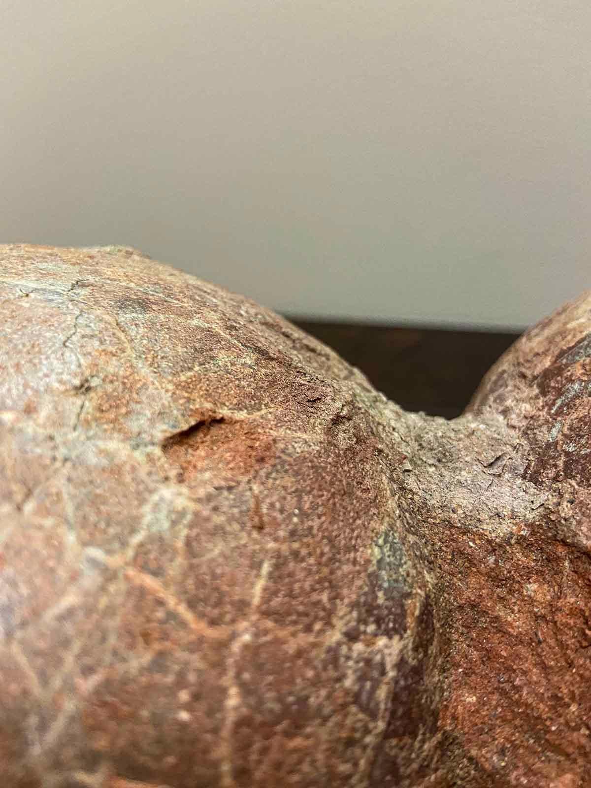 Stone Rare Prehistoric Petrified Dinosaur Egg Nest with Cracked Surface