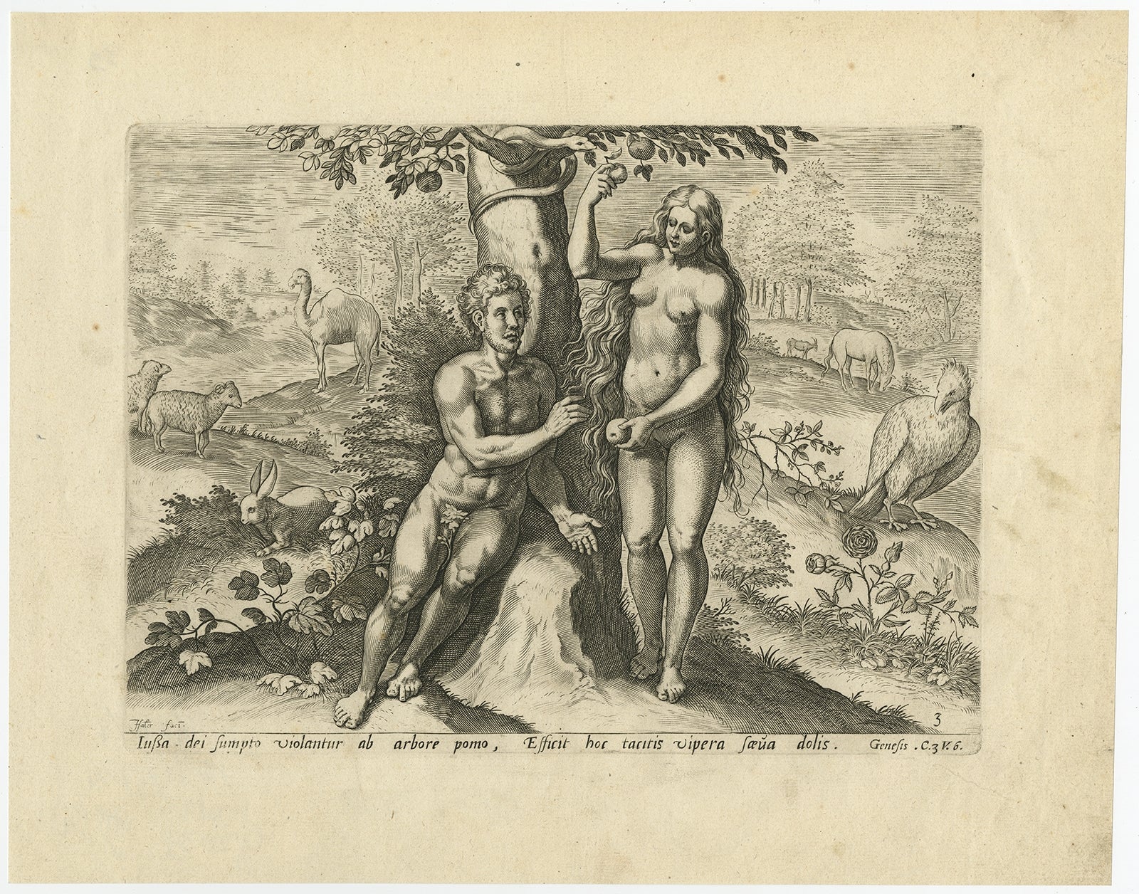 Antique print, titled: 'Lussa dei sumpto violantur ab arbore pomo, Efficit hoc tacitis vipera saeua dolis.' 

This original antique print shows a scene from Genesis in the Old Testament; Adam and Eve eat the apple from the tree of good and evil.