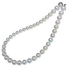 Rare Aurora 10-10.5mm Certified Akoya Pearl Statement Necklace