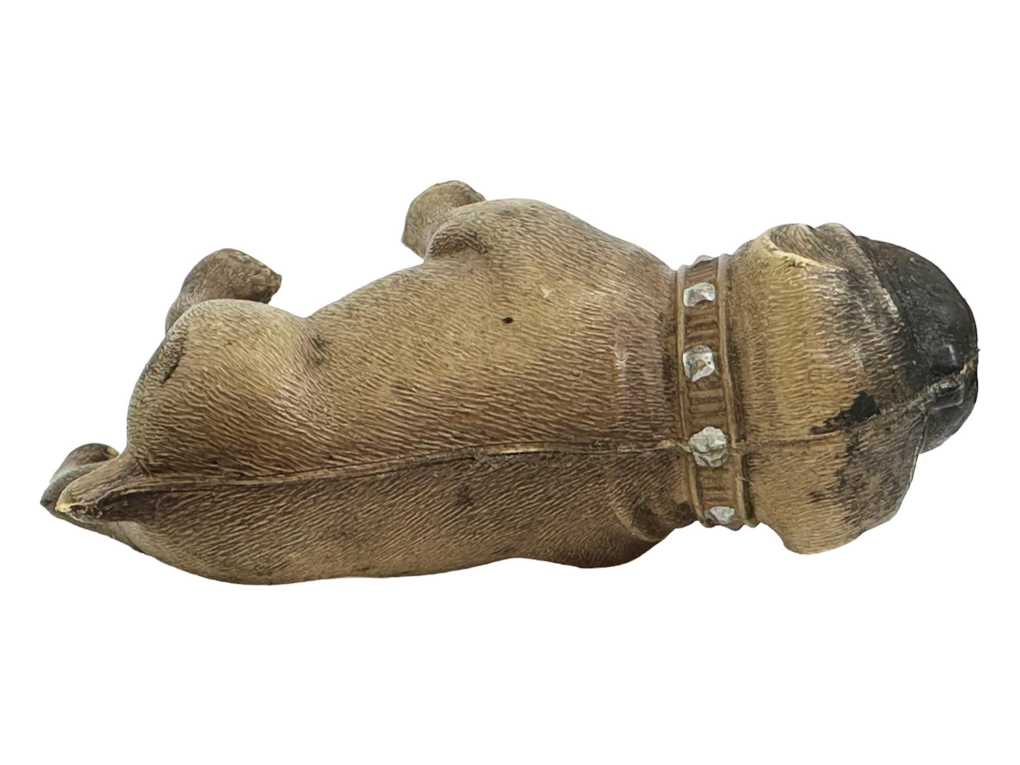 Early 20th Century Rare Pug Bulldog Dog Celluloid Figurine vintage, Austria 1920s For Sale
