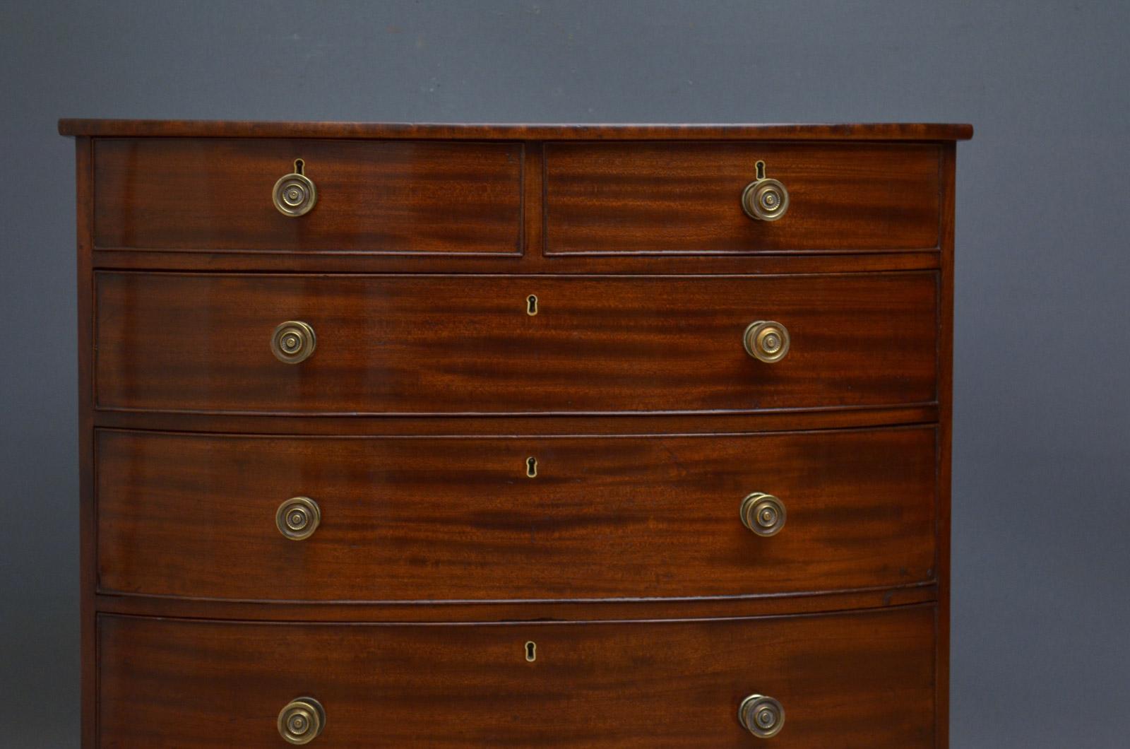 Rare Regency Mahogany Chest of Drawers of Small Proportions In Excellent Condition In Whaley Bridge, GB