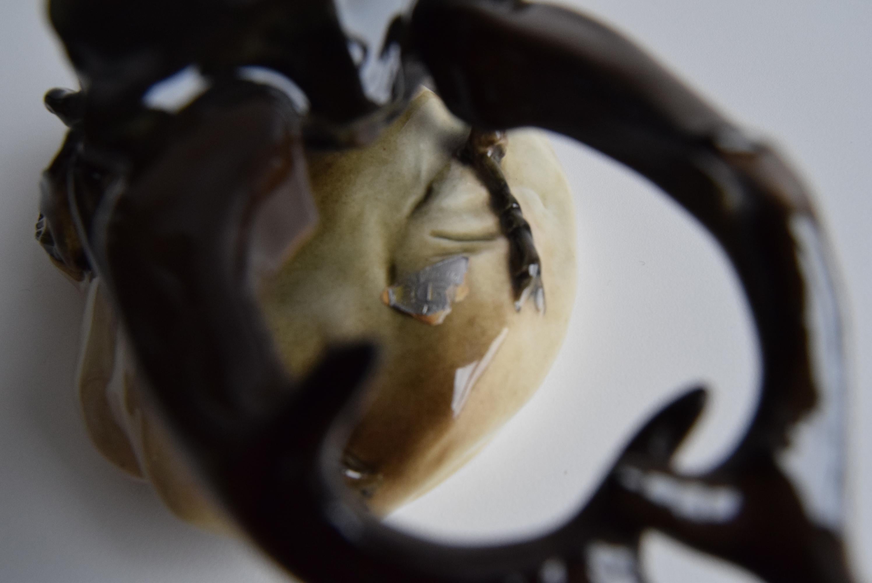 Rare Stag Beetle Porcelain Statue by Royal Dux, 1960's. 2