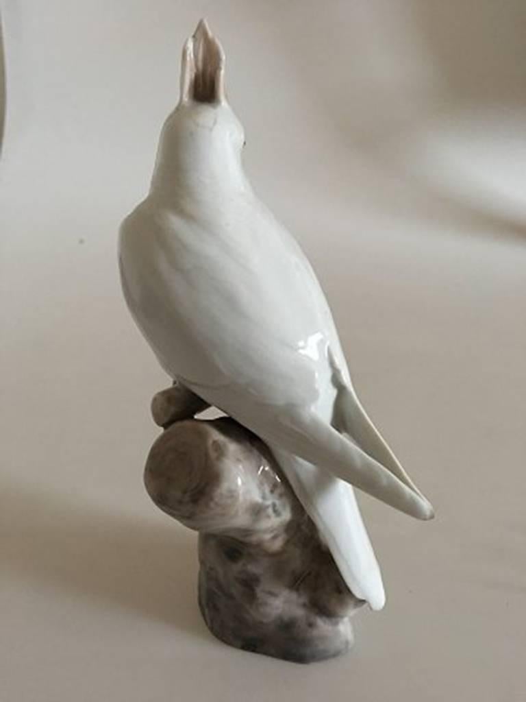 Rare Royal Copenhagen Cockatoo figurine #1479. 1479 RC Cockatoo Edinger Jensen 1915 20 x 11 cm. Think it might have been sanded down on the wings. But not sure, as I have never had this rare figurine before. But have a look at the pictures.