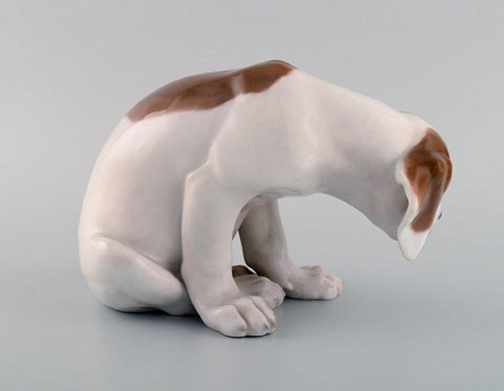 Danish Rare Royal Copenhagen Porcelain Figurine, Labrador Puppy, 1920s