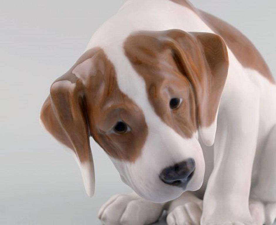 Rare Royal Copenhagen Porcelain Figurine, Labrador Puppy, 1920s 1