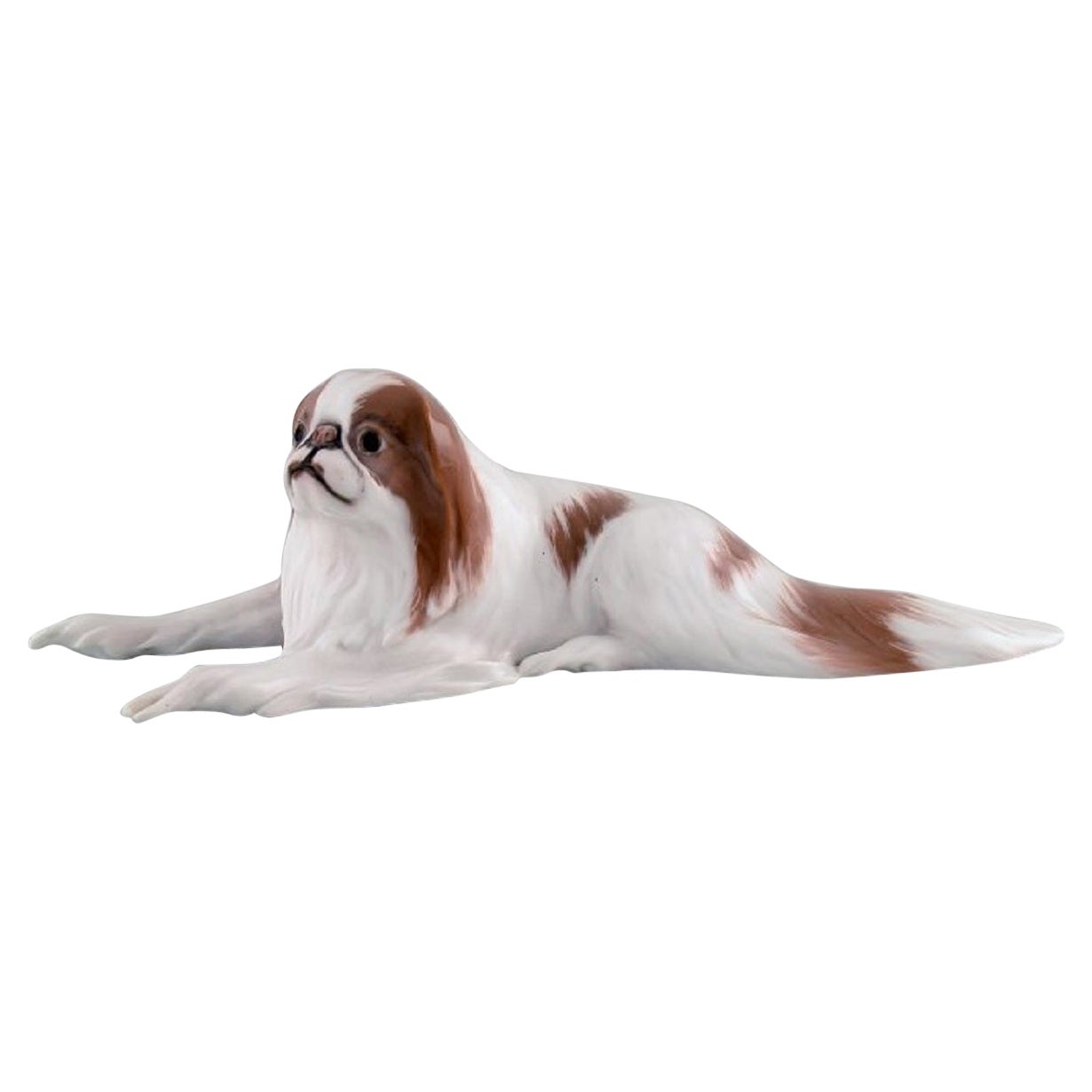 Rare Royal Copenhagen Porcelain Figurine, Pekingese, 1920s