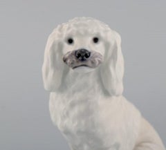 Rare Royal Copenhagen Porcelain Figurine, White Poodle, 1920s