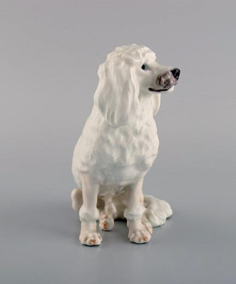 Danish Rare Royal Copenhagen Porcelain Figurine, White Poodle, 1920s