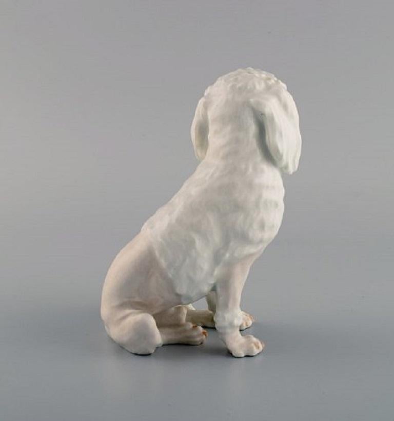 Glazed Rare Royal Copenhagen Porcelain Figurine, White Poodle, 1920s