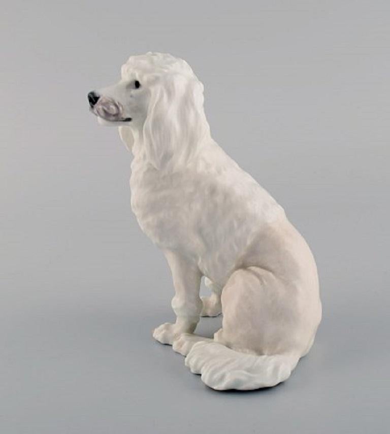 Early 20th Century Rare Royal Copenhagen Porcelain Figurine, White Poodle, 1920s
