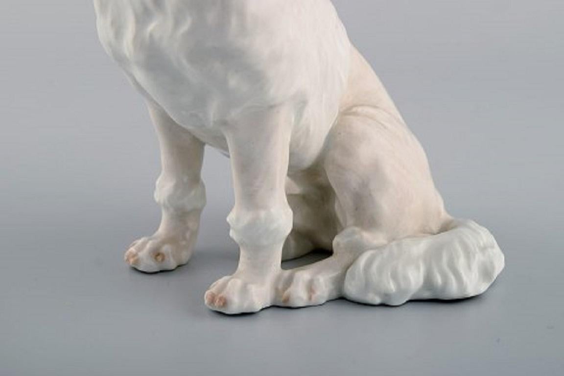 Rare Royal Copenhagen Porcelain Figurine, White Poodle, 1920s 1