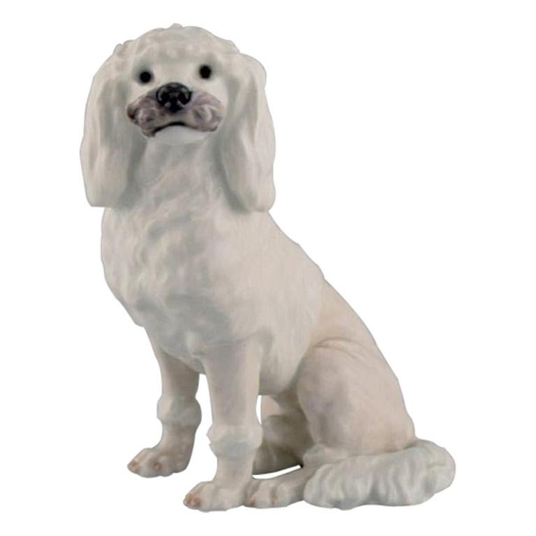 Rare Royal Copenhagen Porcelain Figurine, White Poodle, 1920s
