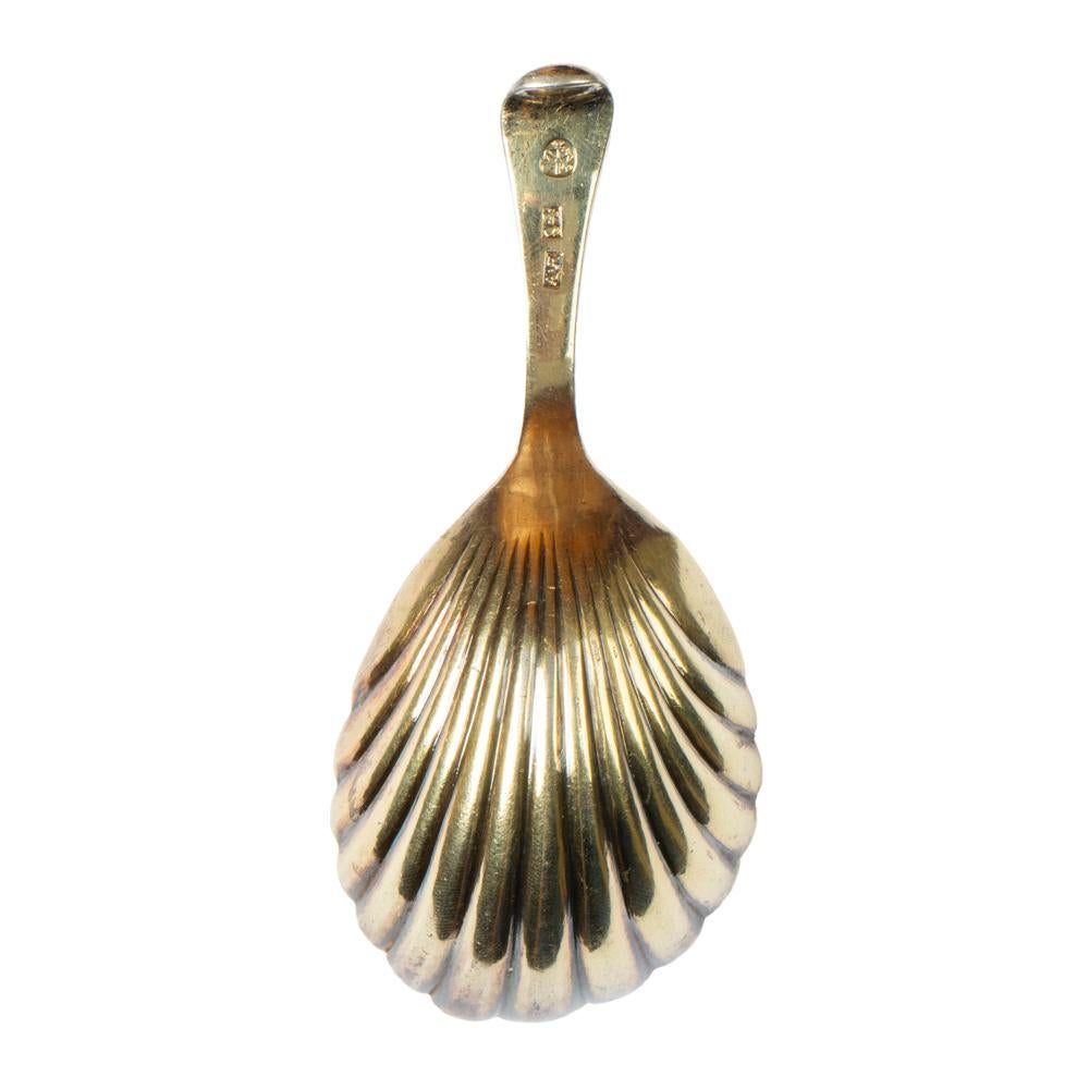 Women's or Men's Rare Russian Imperial era Silver Tea caddy Spoon, early 1800s For Sale
