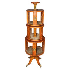 Rare Satinwood Adams Paint Decorated Revolving English Bookcase