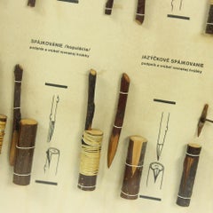 Rare School Model of Plant Reproduction, Wall Art, Czechoslovakia, circa 1960