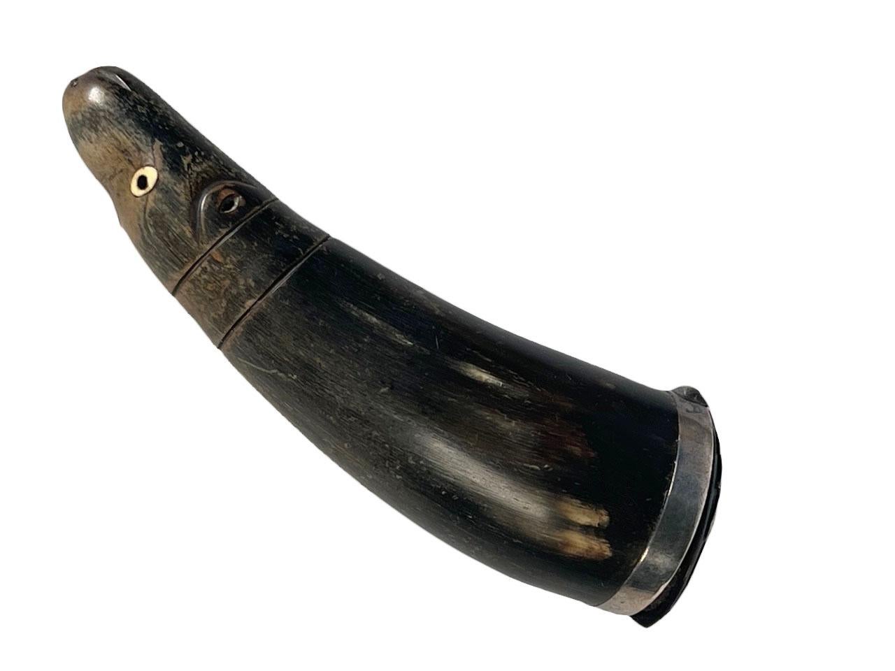A very rare Scottish snuff mull with carved water buffalo with ears and eyes. At the opposite end a silver thistle with opening for snuff. Circa 1820. 