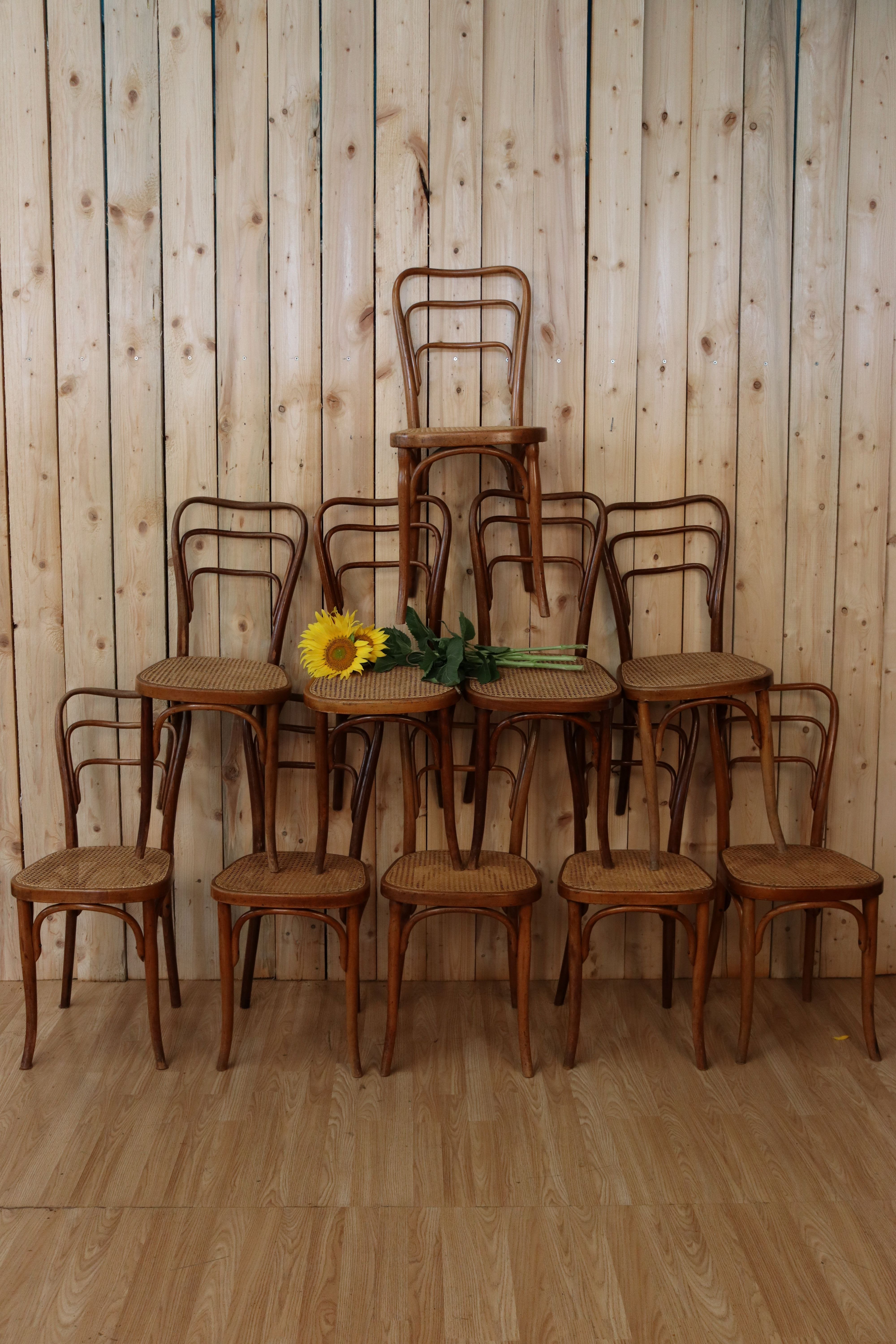 rare series of 10 chairs from the kohn model house created in 1906 under the number 248 A all are in very good condition as well as their canes