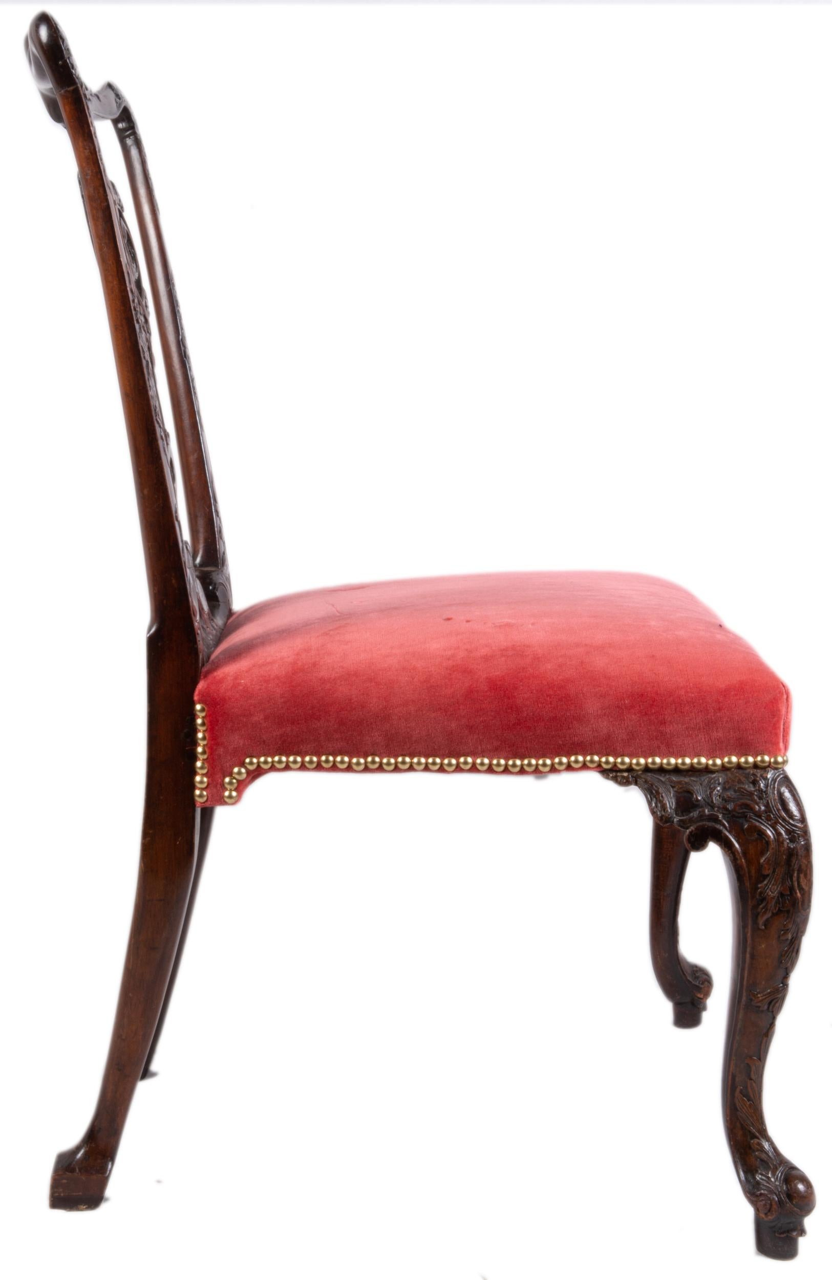 Carved Rare Set of 18 Mahogany Chippendale Style Dining Chairs, circa 1840