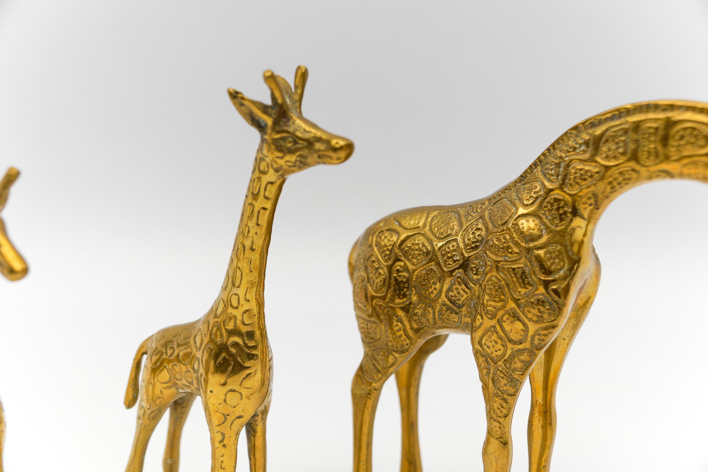 Rare Set of 4 Mid-Century Modern Brass Giraffes & a Brass Lion, 1960s For Sale 3