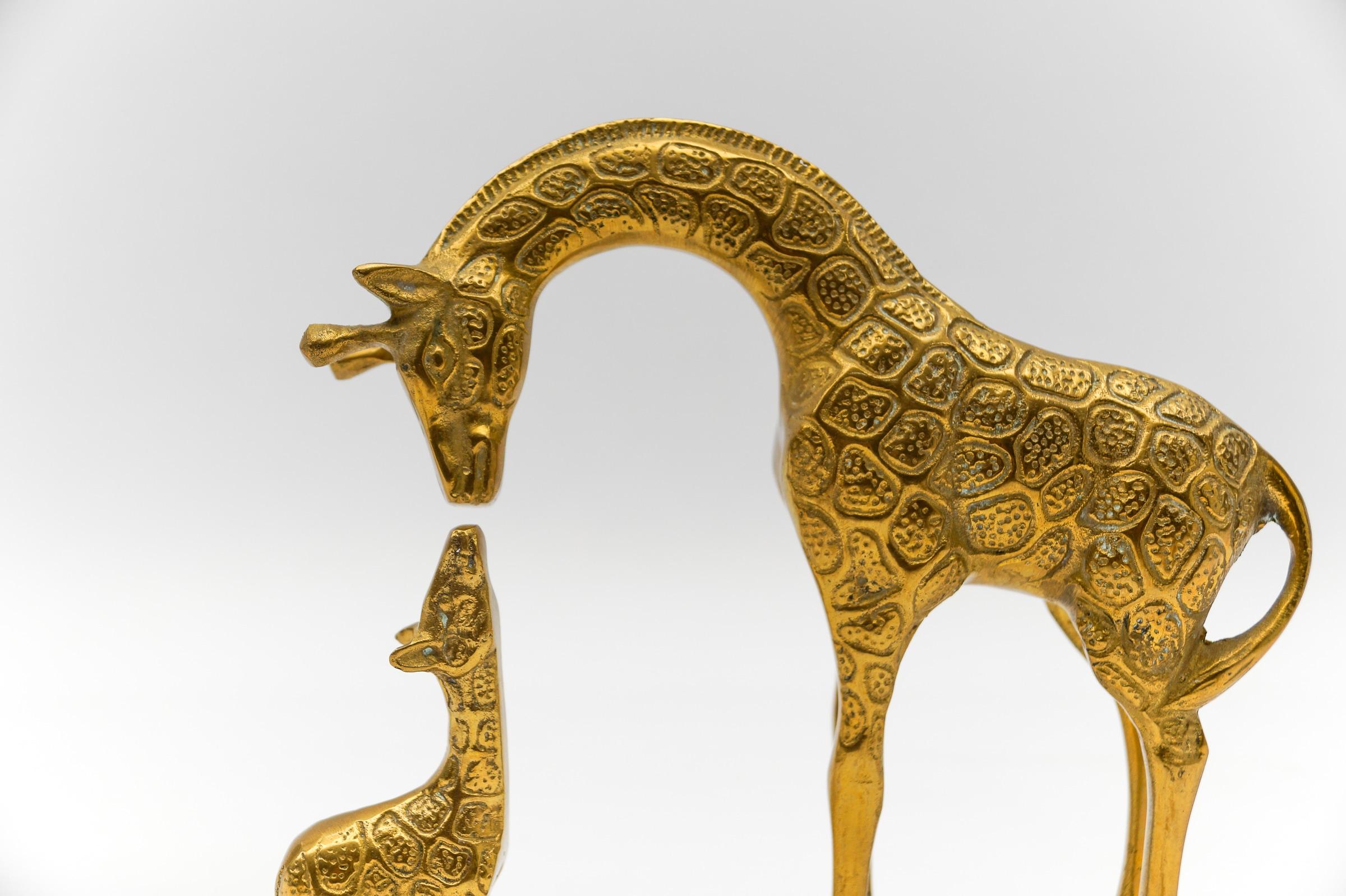 Leather Rare Set of 4 Mid-Century Modern Brass Giraffes & a Brass Lion, 1960s For Sale