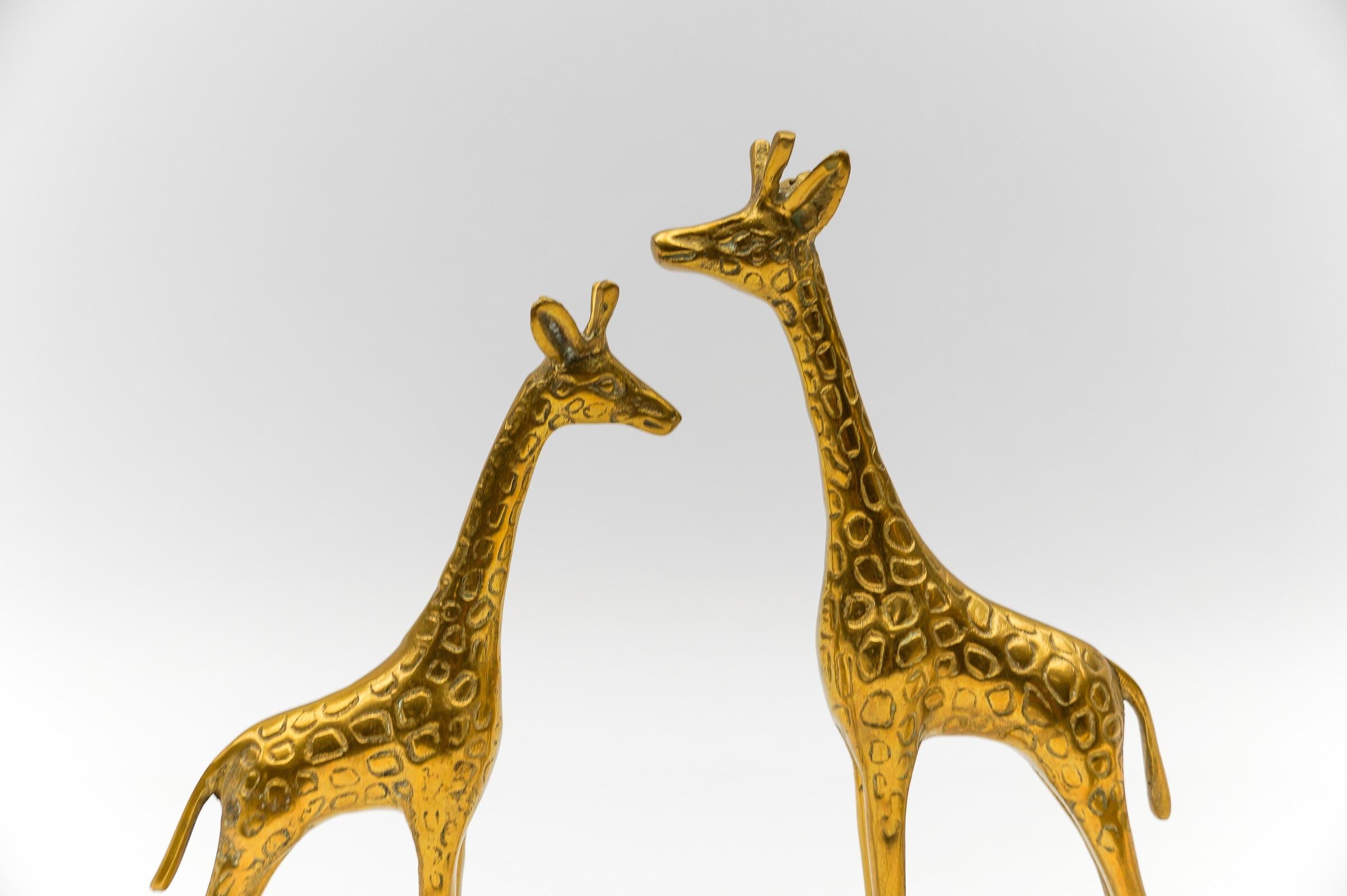 Rare Set of 4 Mid-Century Modern Brass Giraffes & a Brass Lion, 1960s For Sale 1