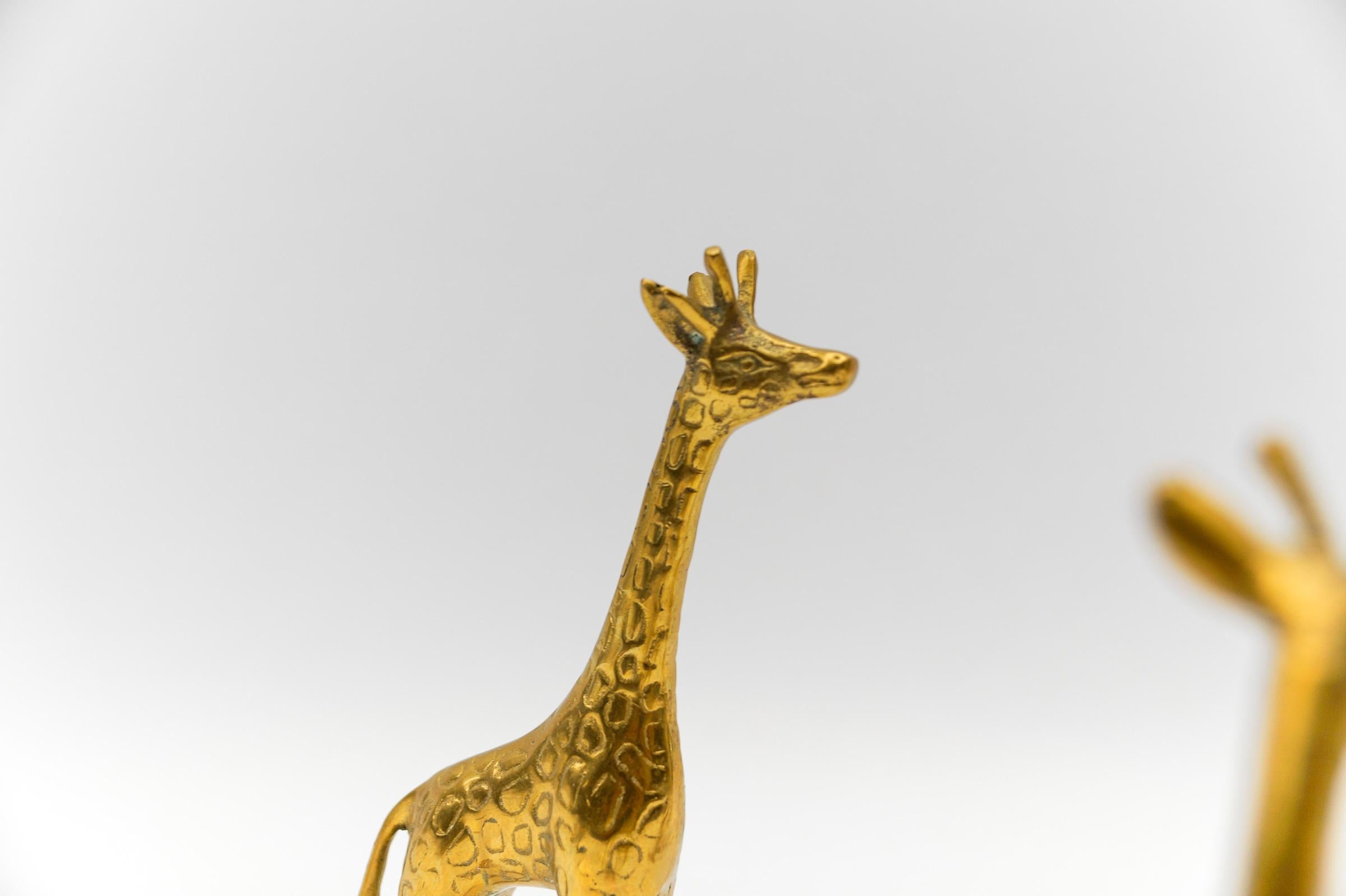 Rare Set of 4 Mid-Century Modern Brass Giraffes & a Brass Lion, 1960s For Sale 2