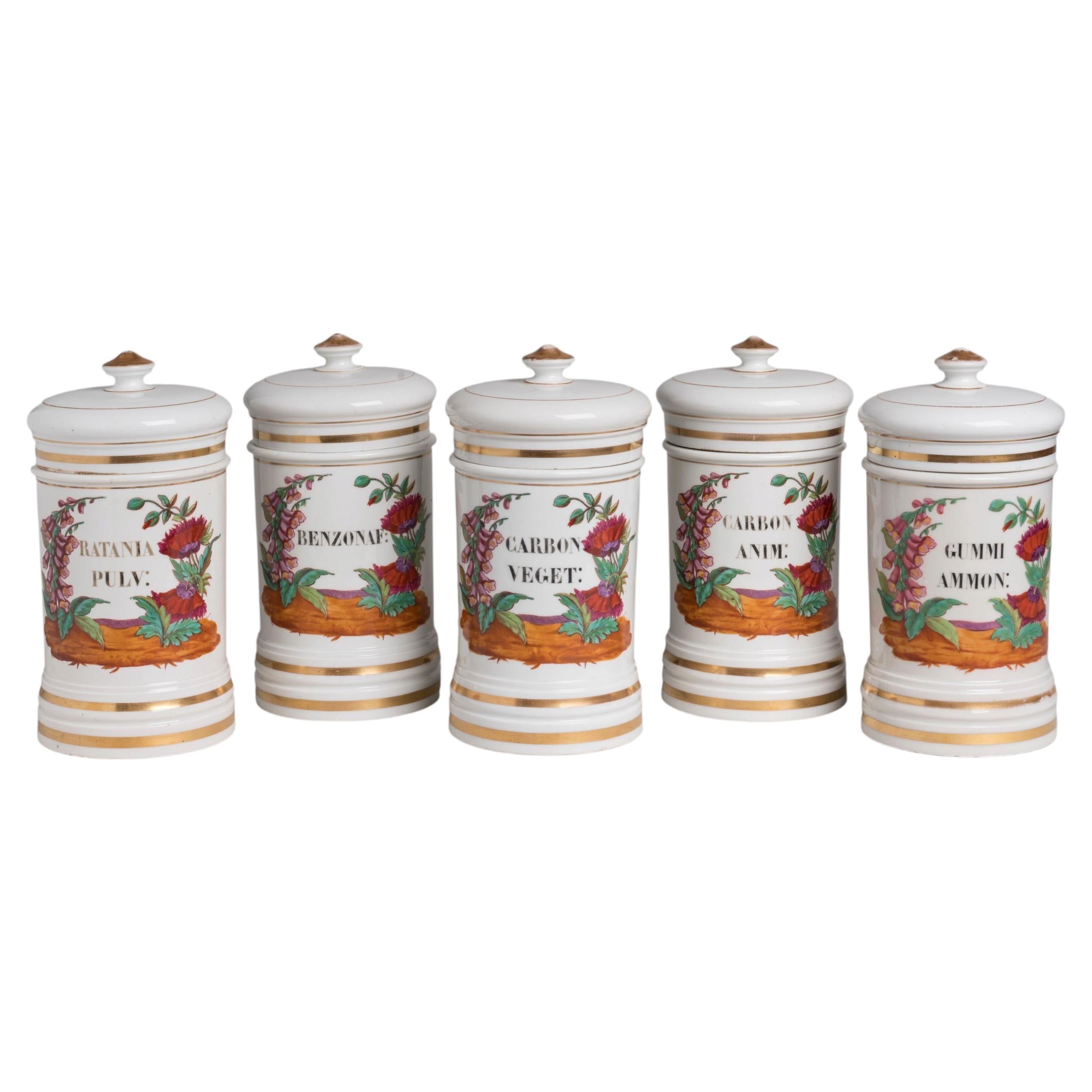 Raro juego de 5 frascos de farmacia de porcelana con tapa, de Lefébure de París