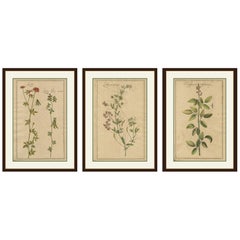 Prints