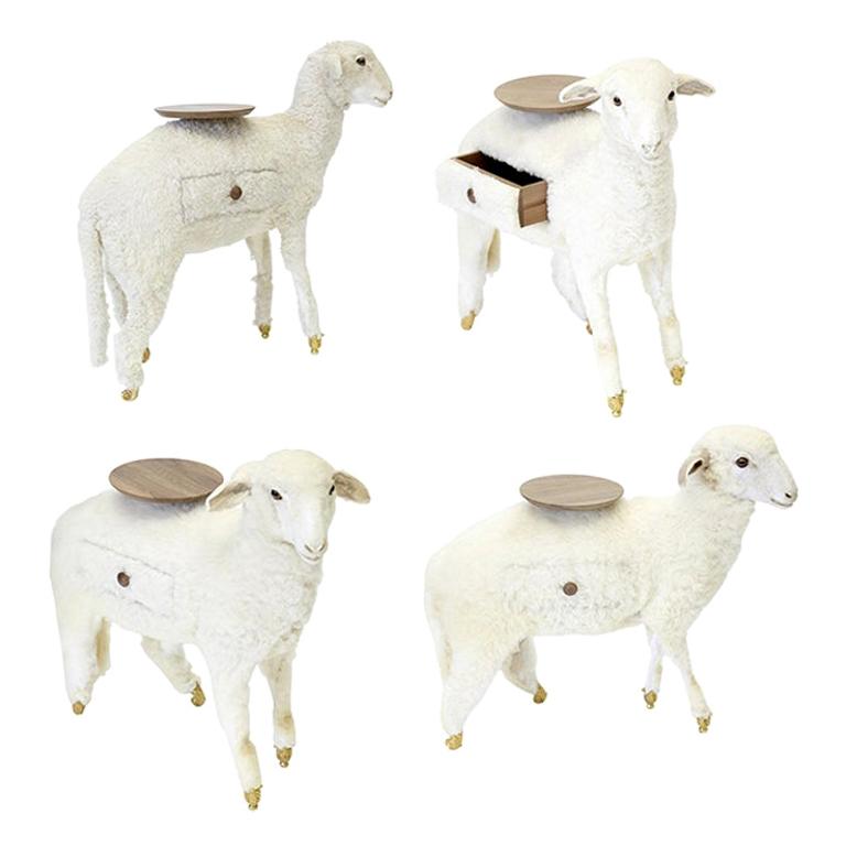 Download Xai charles Desktop Wallpaper Xai Charles