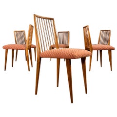 Rare Set of Six Dining Chairs by Joaquim Tenreiro in Caviúna Wood, Brazil, 1950s