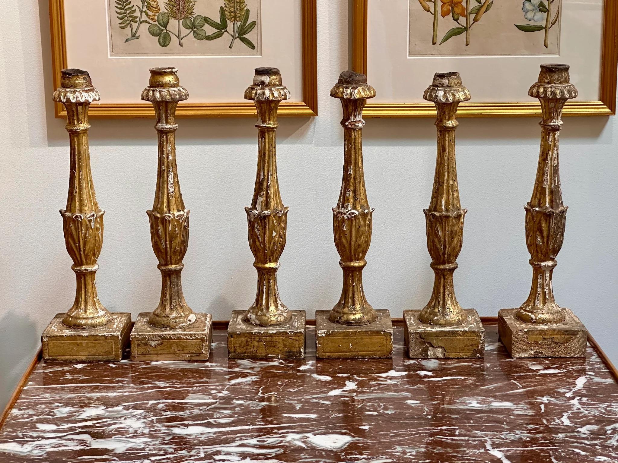 Rare set of Six Italian Carved Giltwood Candlesticks, 18th Century. Having fine reeding and acanthus leaf carving in vase form on square plinths.   15