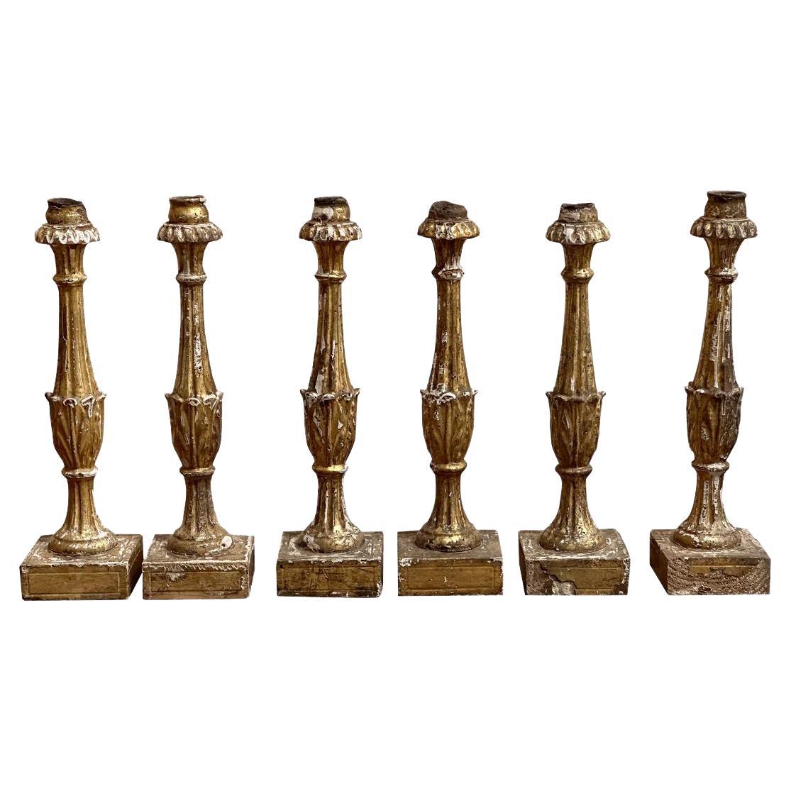 Rare set of Six Italian Carved Giltwood Candlesticks, 18th Century